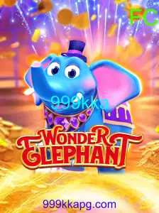 WonderElephant
